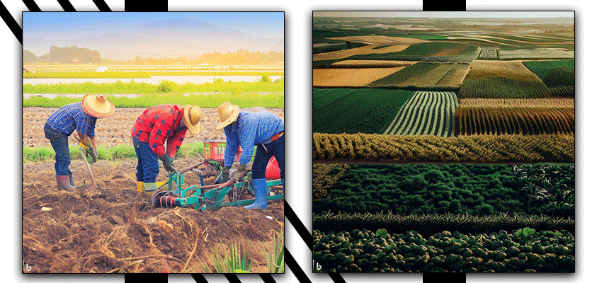 زمین کشاورزی و نیروی انسانی -افزایش بهروری زمین