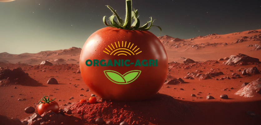 گوجه بزرگ مریخی-کود برای گوجه فرنگی