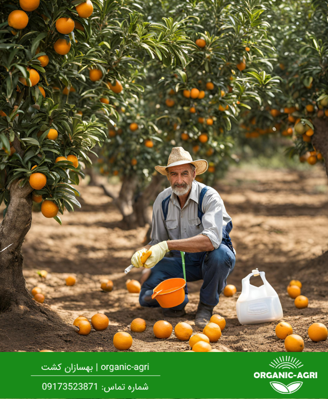 کشاورز - بهترین کود برای پرتقال