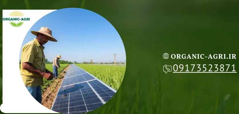 شاخص بهسازان - وظیفه شارژ کنترلر