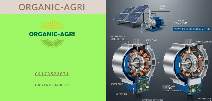 ساختار موتور - موتور براشلس