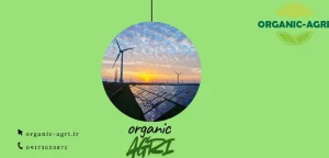 پمپ خورشیدی - انواع پنل های خورشیدی