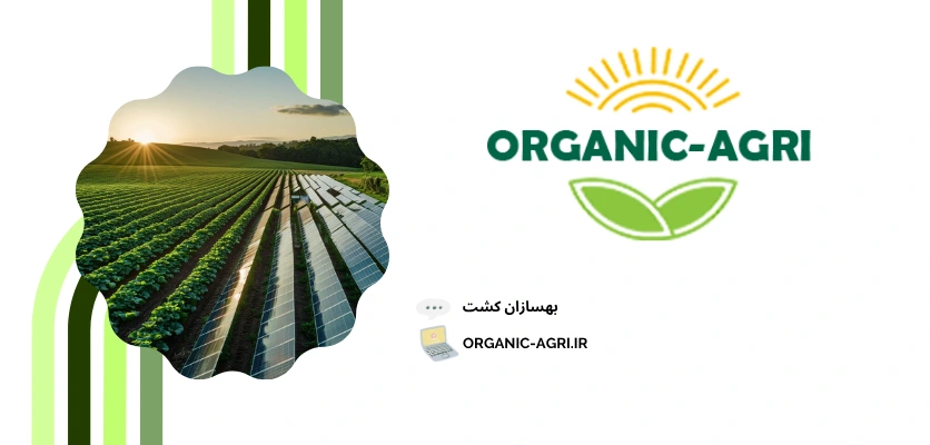 کانکتور پنل خورشیدی - قیمت پنل خورشیدی کشاورزی