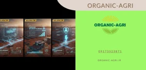 نیروگاه خورشیدی - سیستم ارت در نیروگاه خورشیدی